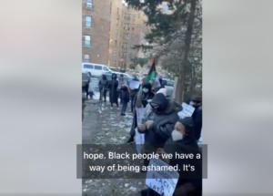 [VIDEO] Victoria Stennett speaking out at 1/8 rally against racist #howardmilstein & #EmigrantBank who trying to take her property in #Flatbush